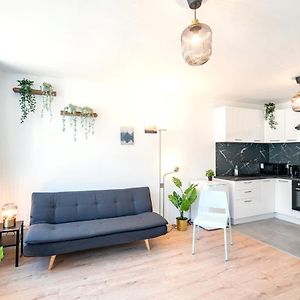 Deluxe Studio